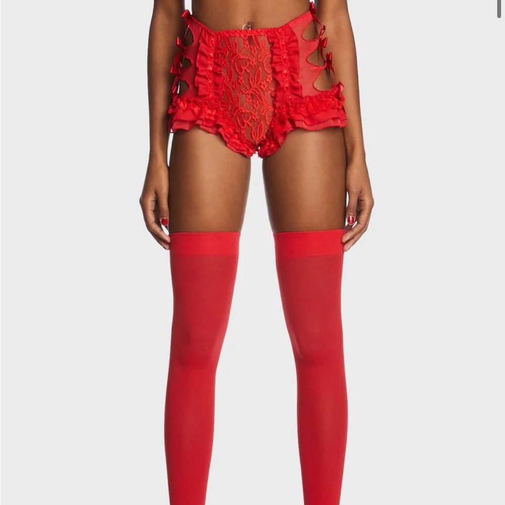 NWT Dolls Kill Lace Panty